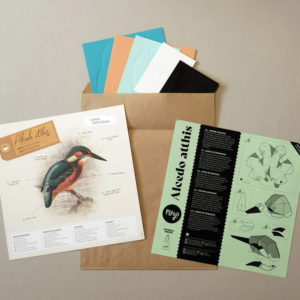 Alcedo Atthis Paper Figure Kit - Image 6