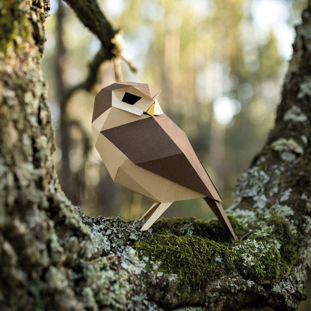 Athene Noctua Paper Figure Kit - Image 3
