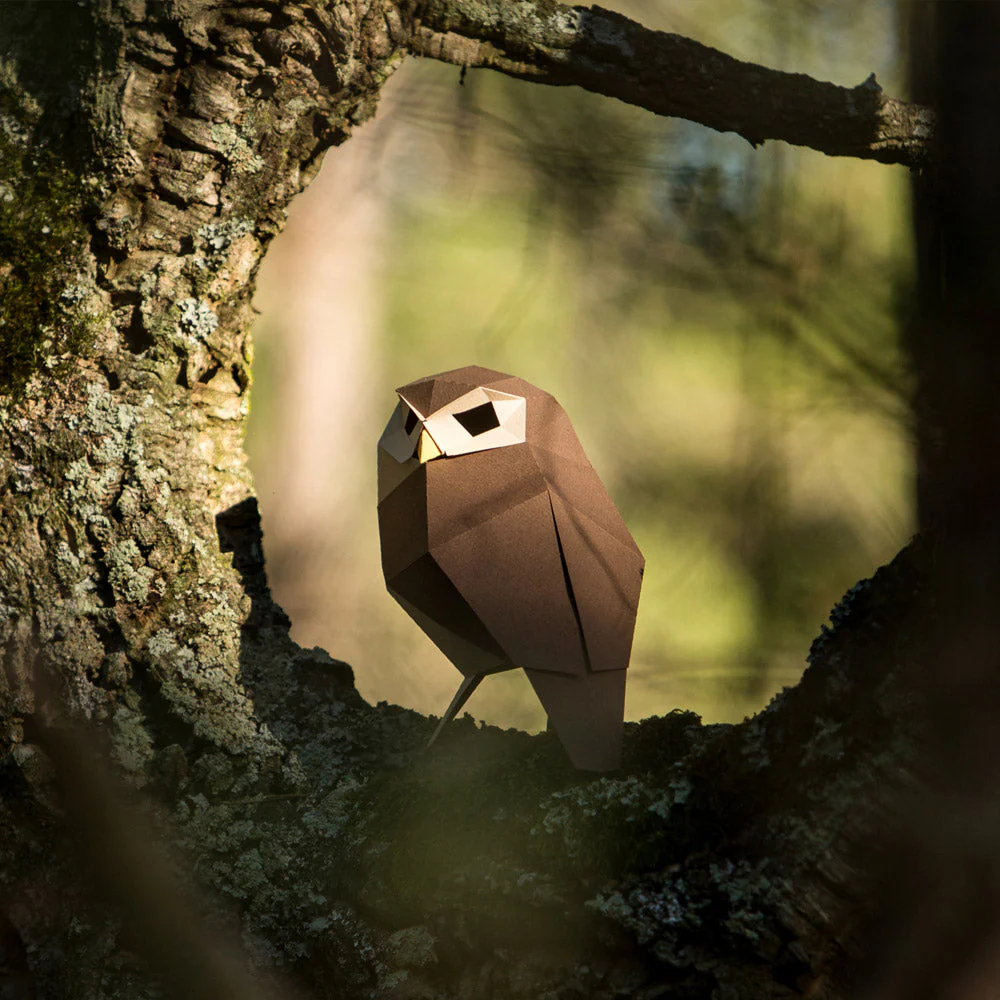 Athene Noctua Paper Figure Kit - Image 6