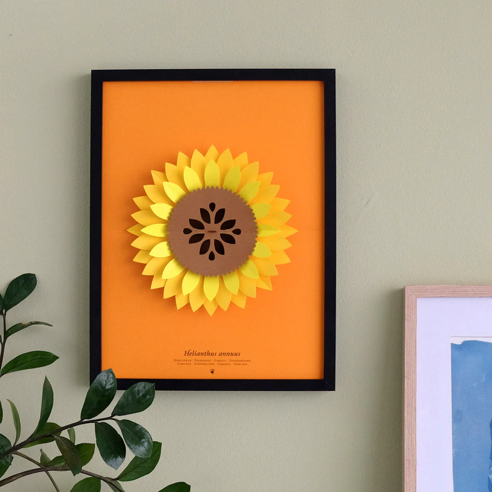 Helianthus Annuus Paper Figure Kit - Image 5
