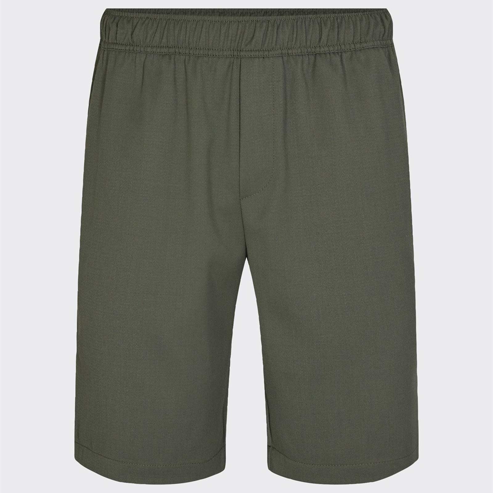Mane Shorts olivine - Image 4