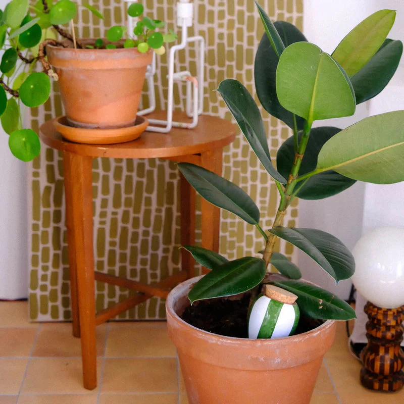 Olla Stripe Green & Ivory - Image 3