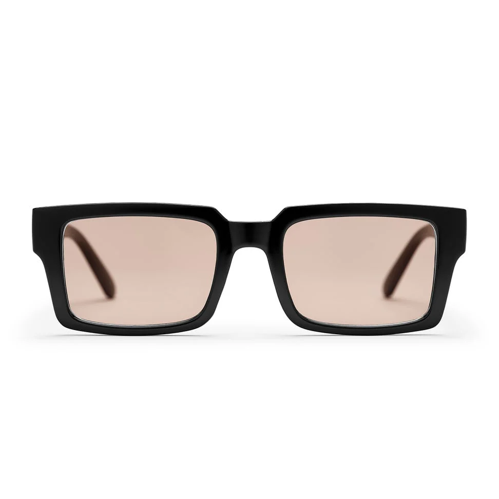 Stellar Sunglasses black/brown