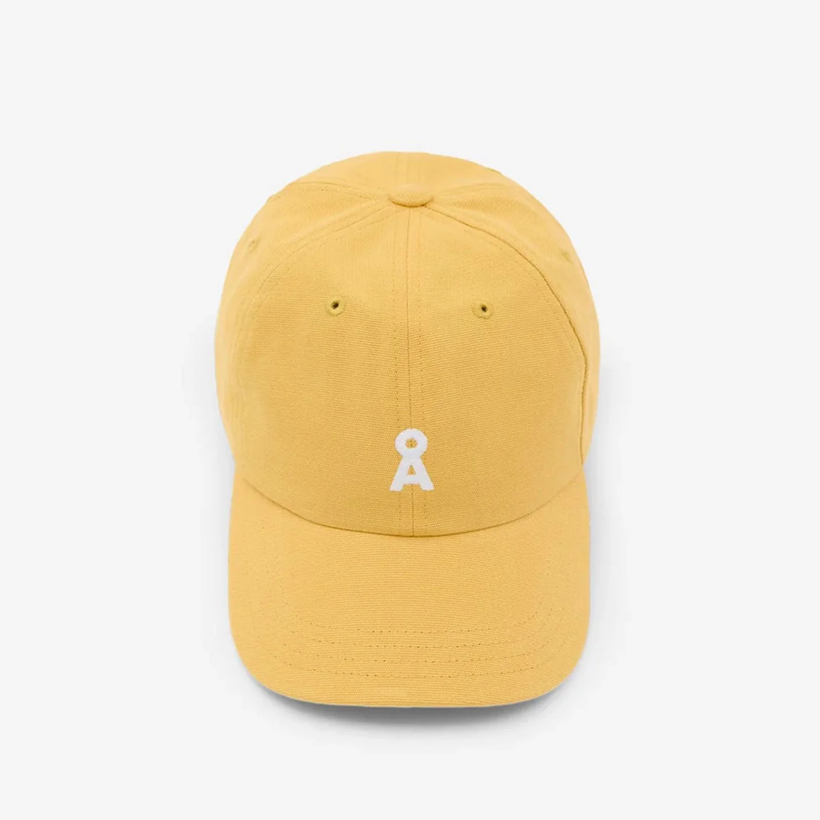 Yenaas Bold Cap sunflower